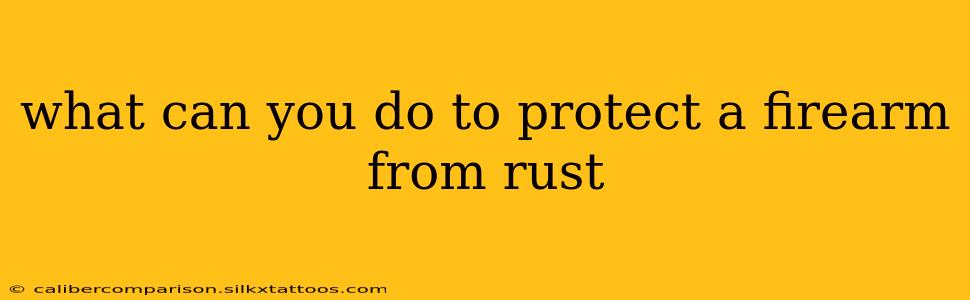 what can you do to protect a firearm from rust