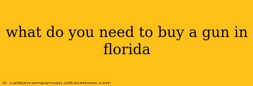 what do you need to buy a gun in florida