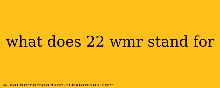 what does 22 wmr stand for