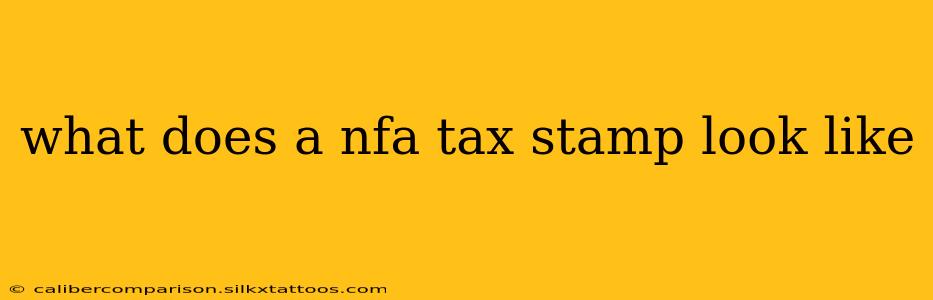 what does a nfa tax stamp look like