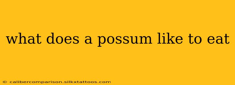 what does a possum like to eat