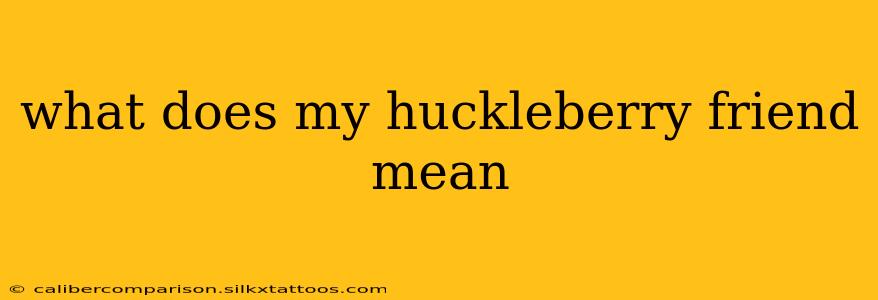 what does my huckleberry friend mean