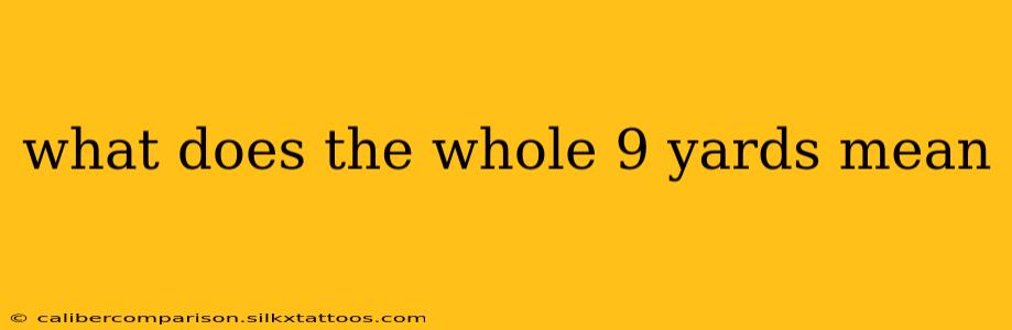 what does the whole 9 yards mean