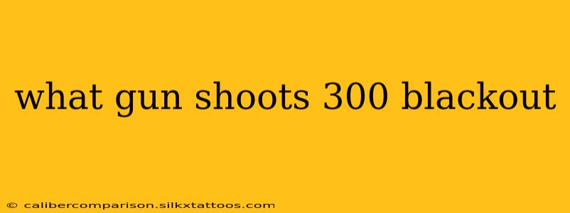 what gun shoots 300 blackout