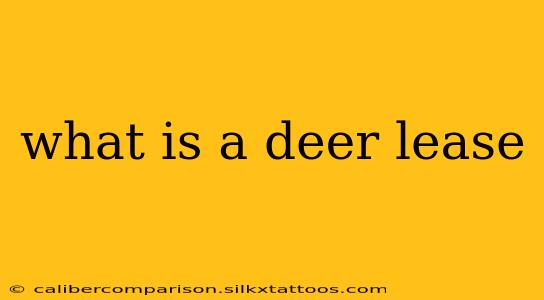 what is a deer lease