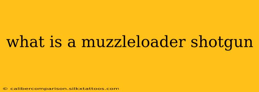 what is a muzzleloader shotgun