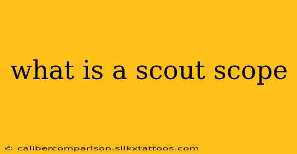 what is a scout scope