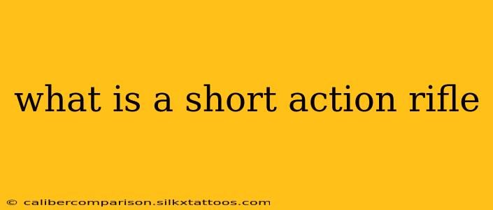 what is a short action rifle