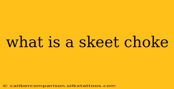 what is a skeet choke