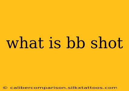 what is bb shot