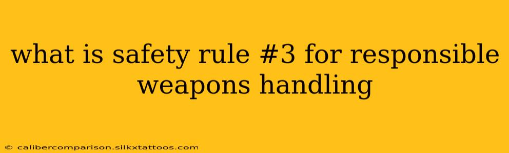 what is safety rule #3 for responsible weapons handling