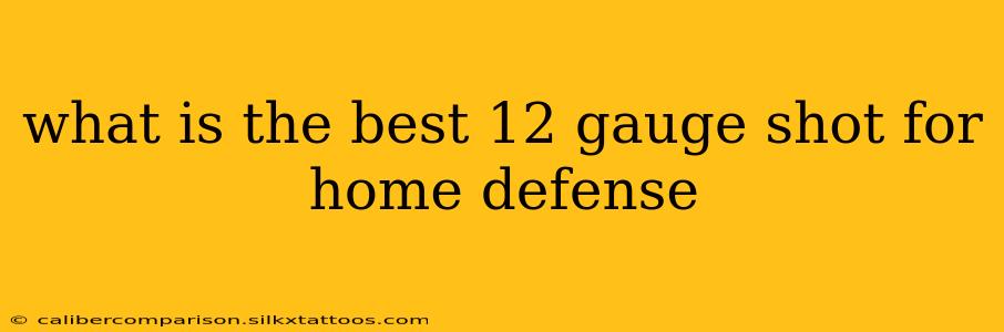 what is the best 12 gauge shot for home defense