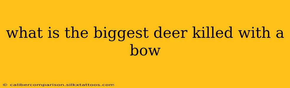 what is the biggest deer killed with a bow