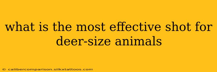 what is the most effective shot for deer-size animals