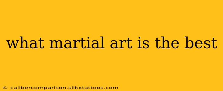 what martial art is the best