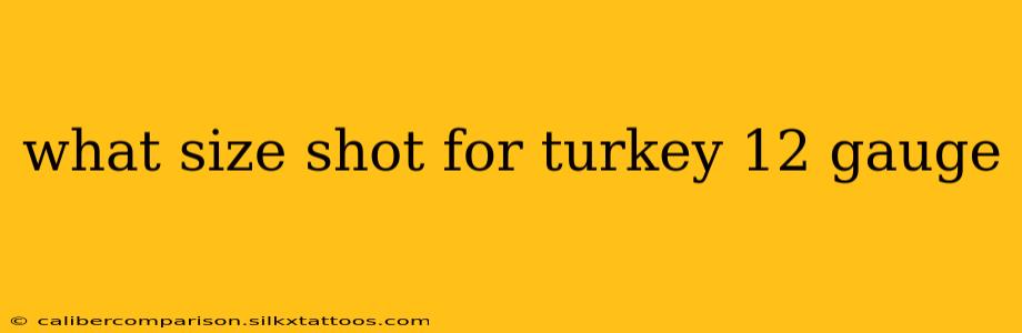 what size shot for turkey 12 gauge