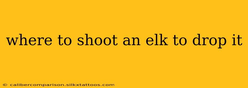 where to shoot an elk to drop it