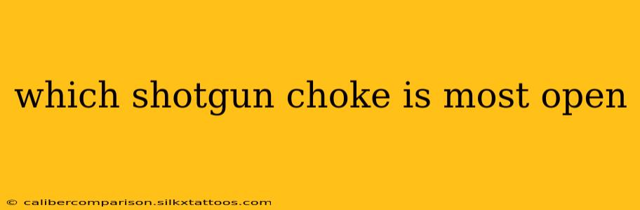 which shotgun choke is most open