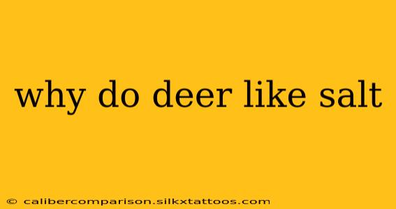 why do deer like salt