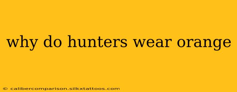 why do hunters wear orange