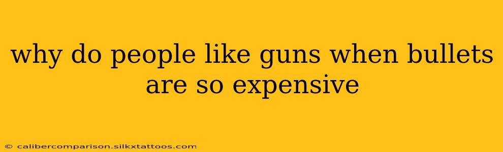 why do people like guns when bullets are so expensive