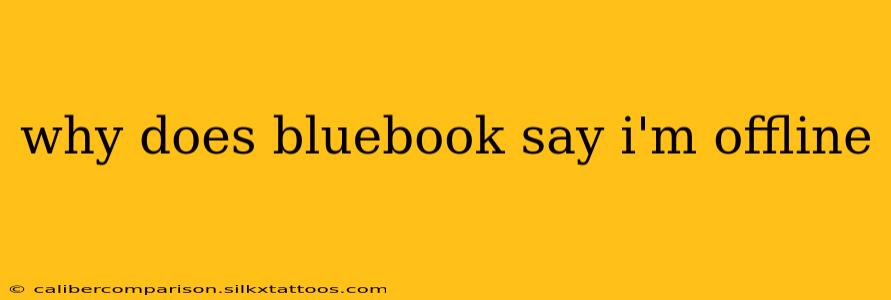 why does bluebook say i'm offline