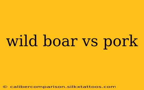 wild boar vs pork