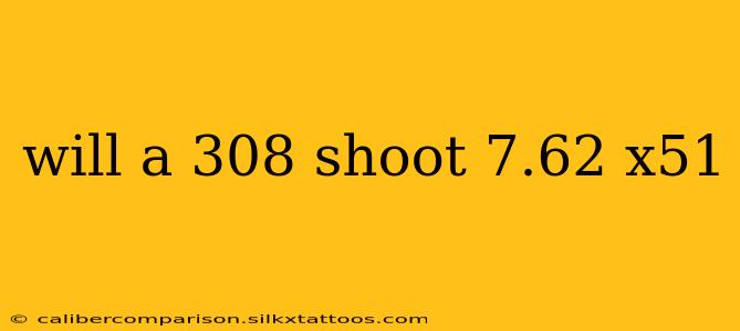 will a 308 shoot 7.62 x51