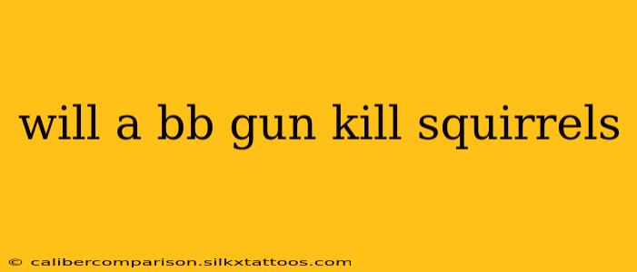 will a bb gun kill squirrels