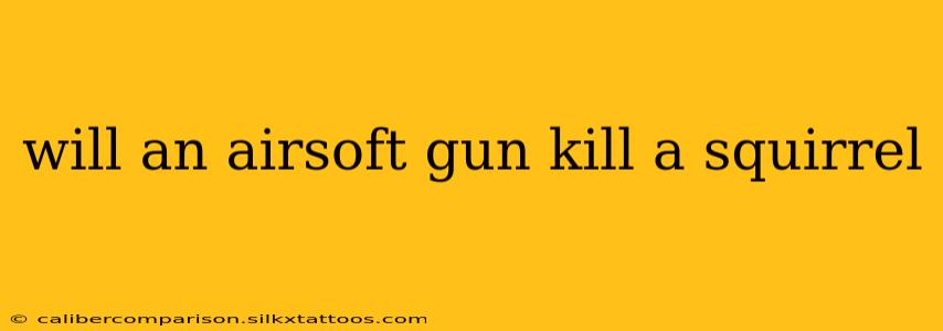 will an airsoft gun kill a squirrel