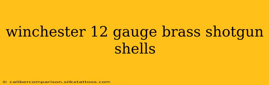 winchester 12 gauge brass shotgun shells