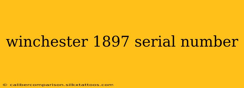 winchester 1897 serial number