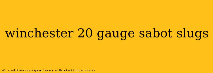 winchester 20 gauge sabot slugs