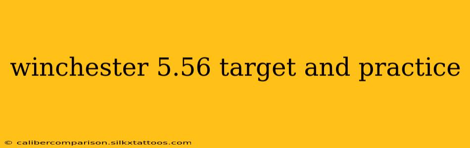 winchester 5.56 target and practice