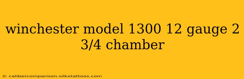 winchester model 1300 12 gauge 2 3/4 chamber