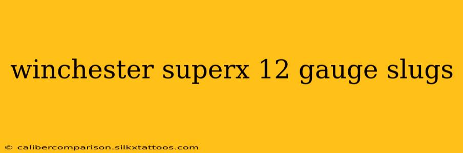 winchester superx 12 gauge slugs