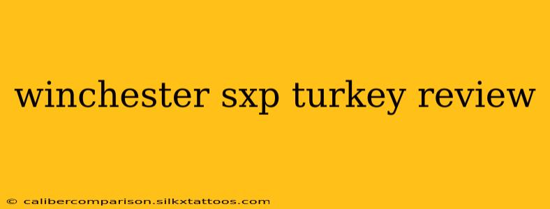 winchester sxp turkey review