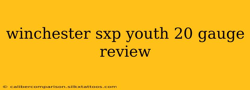 winchester sxp youth 20 gauge review