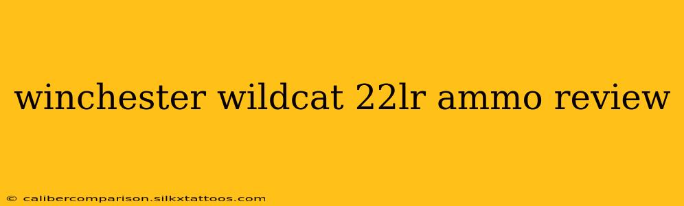 winchester wildcat 22lr ammo review