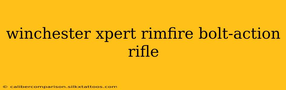 winchester xpert rimfire bolt-action rifle