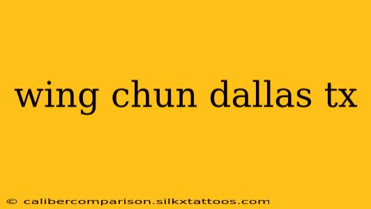 wing chun dallas tx